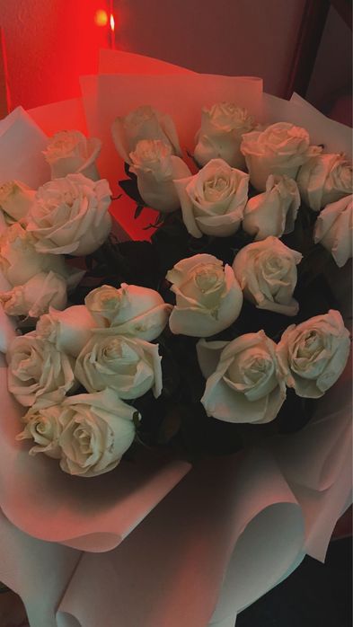 25 шт розы метровые