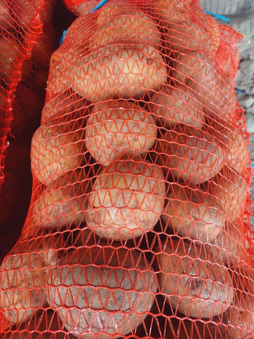 Cartofi Consum reccent ambalat si sortat