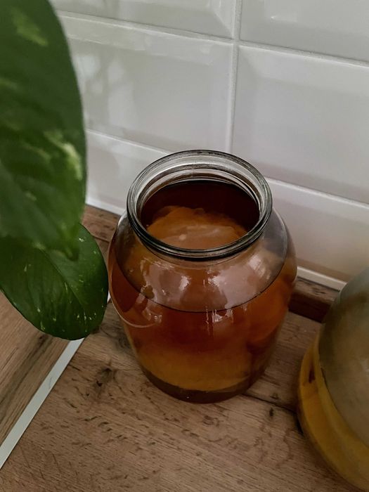 Чайный гриб (комбуча)