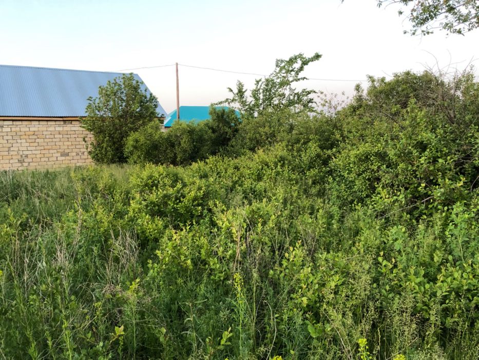 Земельный участок