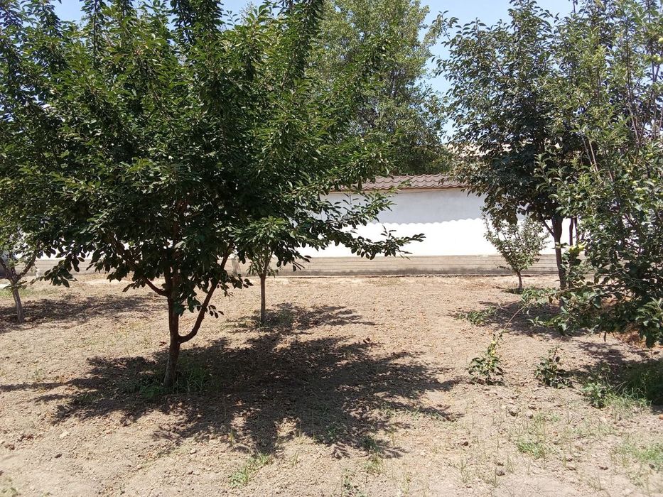 Qumariq mahallada yer sotiladi