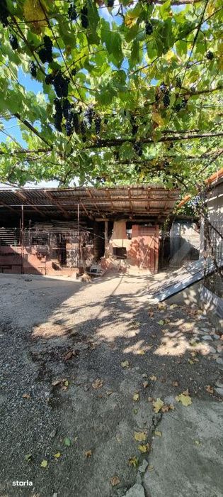 Casa cu 3 camere, anexe, curte si gradina