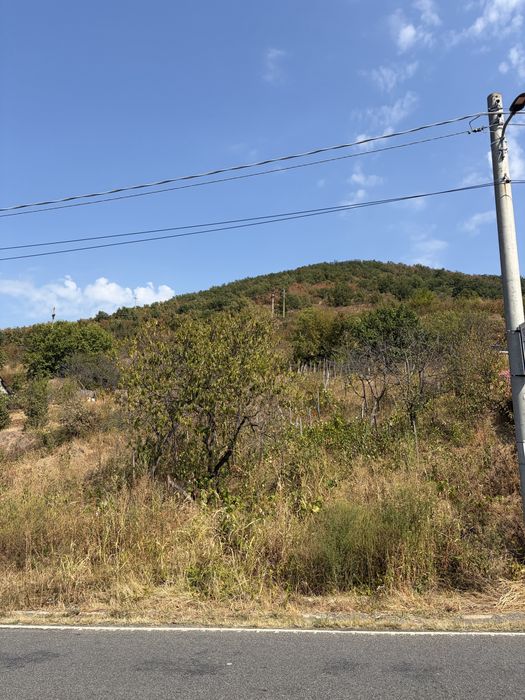 Vand  teren intravilan berzasca dn 57
