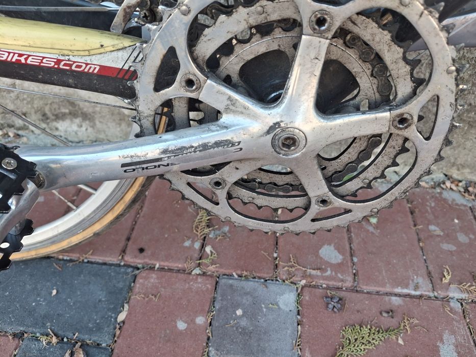 Cursiera carbon Ridley