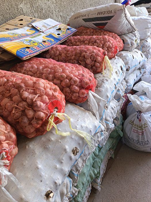 Yaxshi may oyidagi hosil yaxshi chesnok