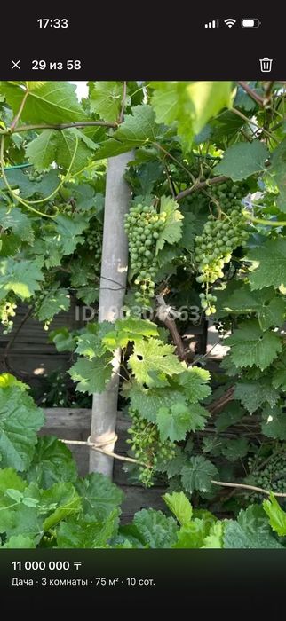 Продается Дача на баме