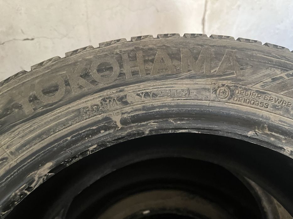 Шины липушка зима