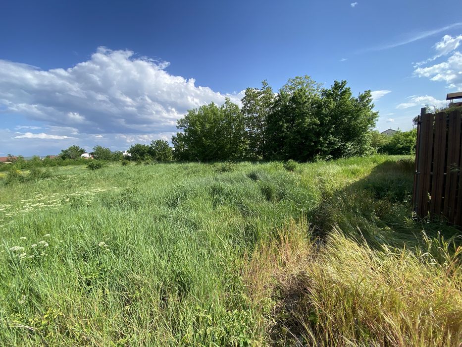 Teren Cetate zona DSV Brandusei