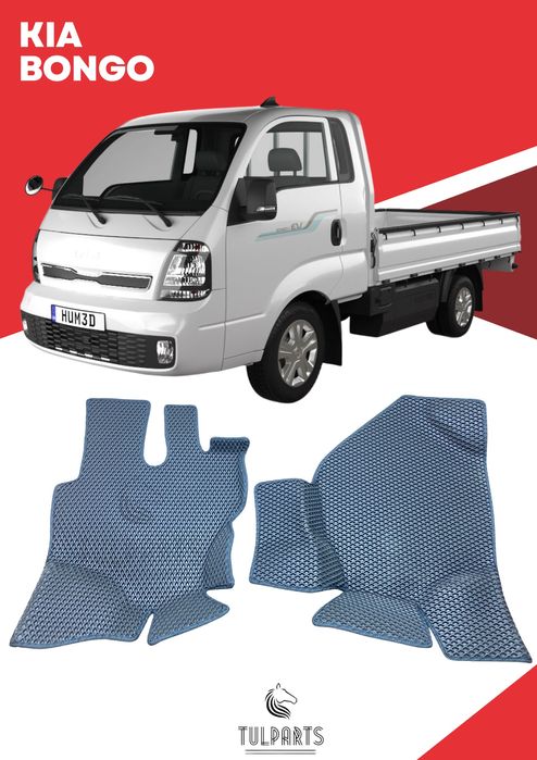 Ева Коврик, Эва Полик