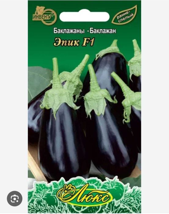 Продаётся рассада