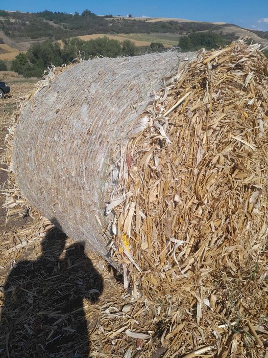 Baloți de tocatura