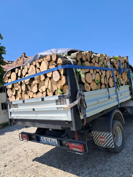 Lemne de foc Barnova