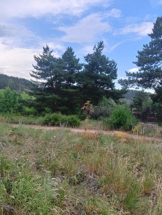 Продам участок на Бухтарме.