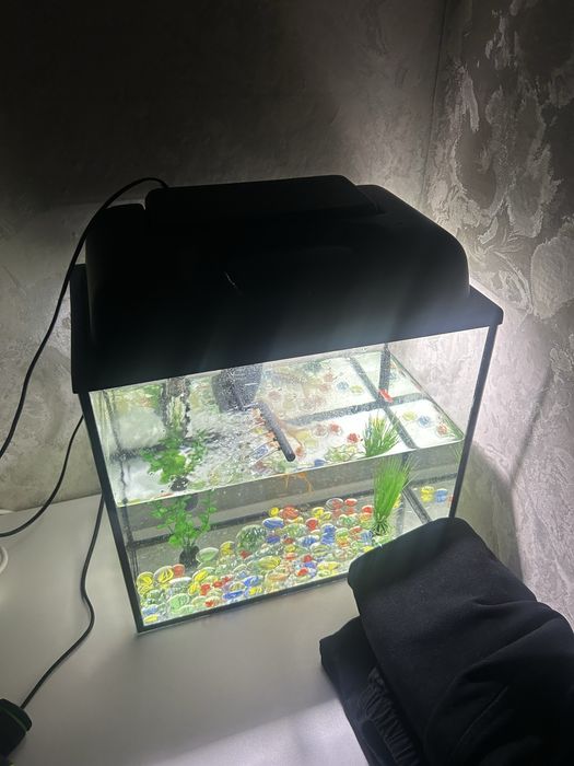 Продам акваруим