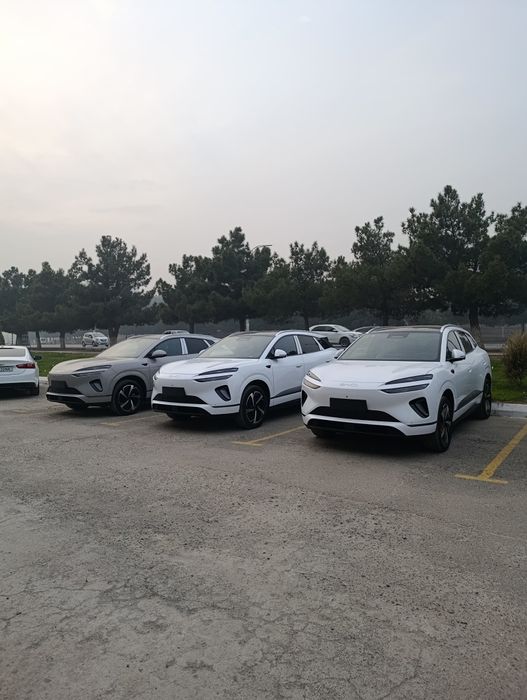 BYD Sealion 06 3-позиция