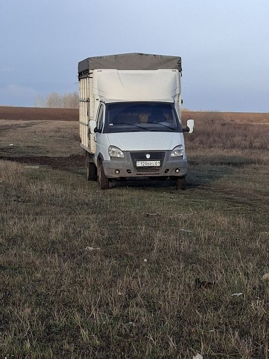 Газел чиста для сибя собранна вариант крс