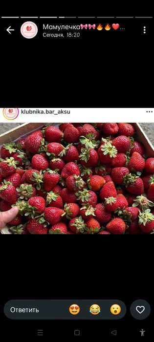 Лесная смородина сладкая