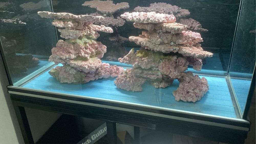 Servicii acvaristică