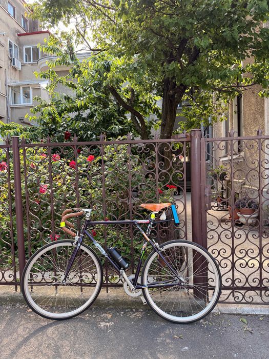 Bicicleta Pegas Clasic