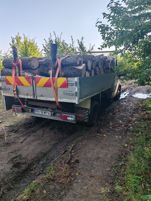 Lemne foc stejar