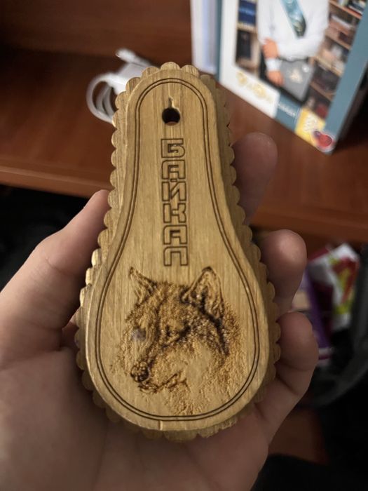 Шаңқобыз чехолымен