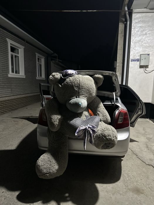Teddy тедди айик