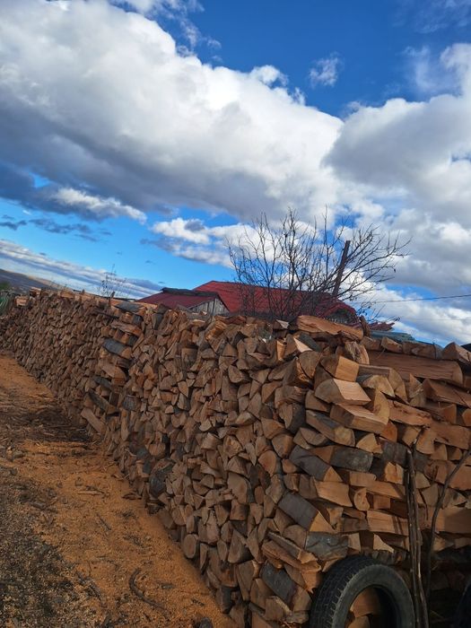 Vând lemn de foc