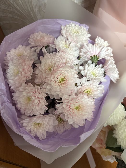 Продам цветы ромашка