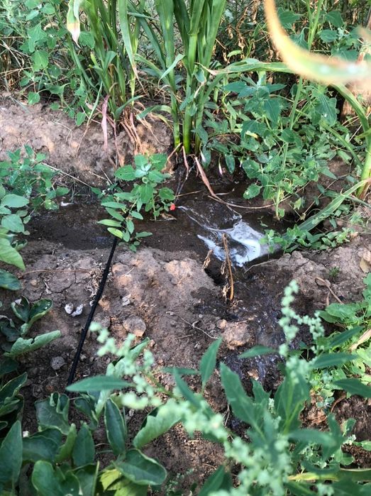 Автопрома с таймером