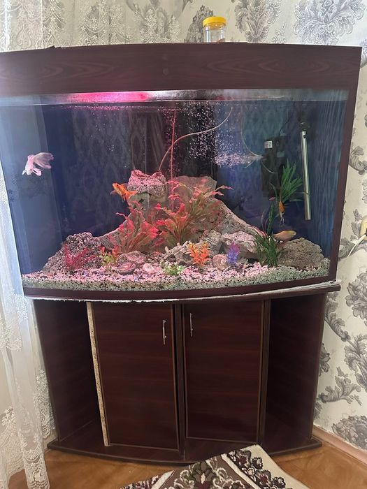 Аквариум 500+ литр подставка бонус