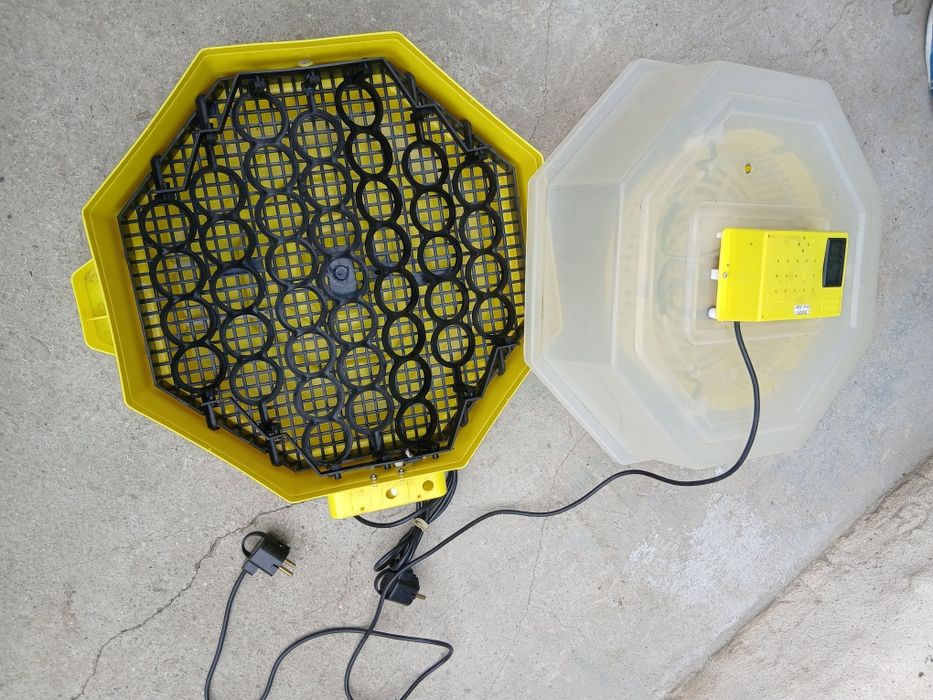 Clocitoare automata pentru oua