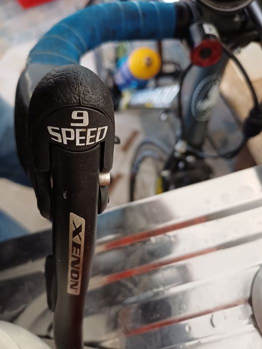 Vand sau la schimb cursiera