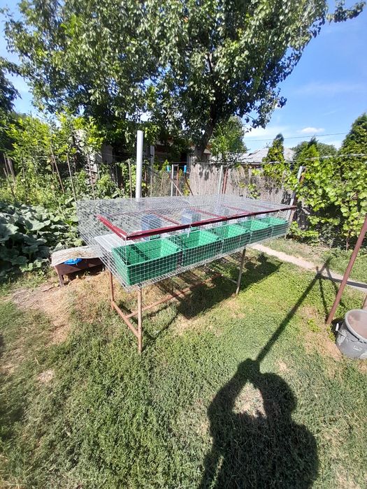 Cusca iepuri pt fatare si tineret