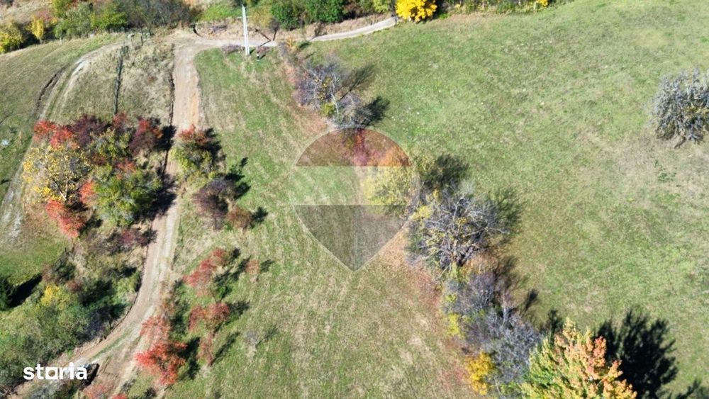 Teren Sohodol-Bran / Strada Bradul inalt, priveliste deosebita