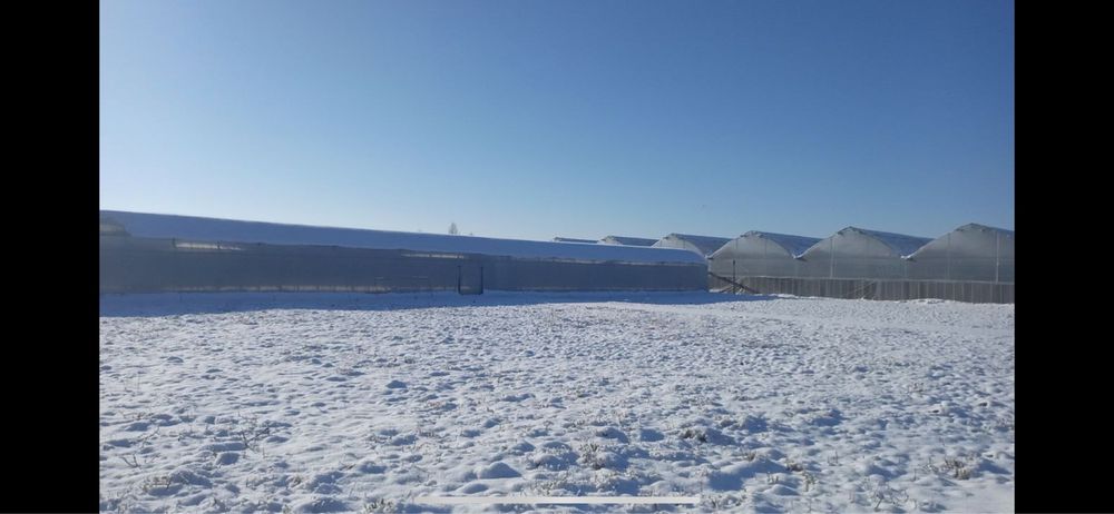 Теплица 3.2 гетарм сотилади халодилник билан