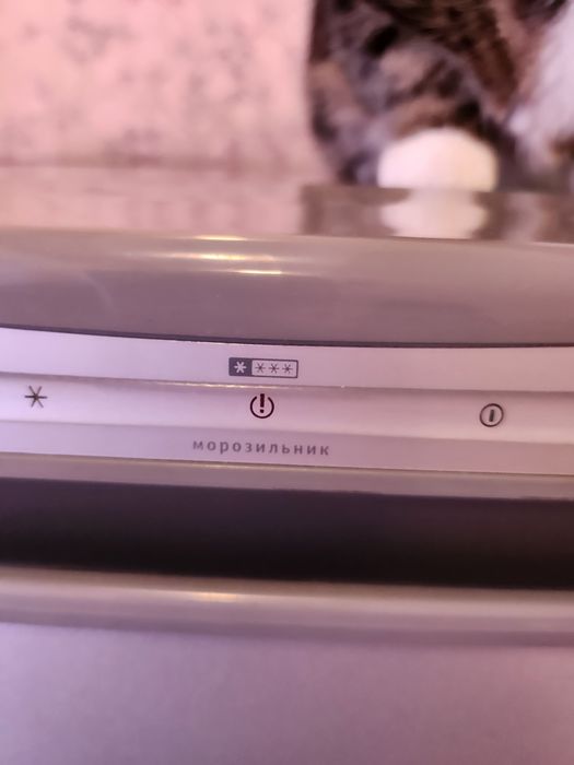 Продам морозилку Бирюса