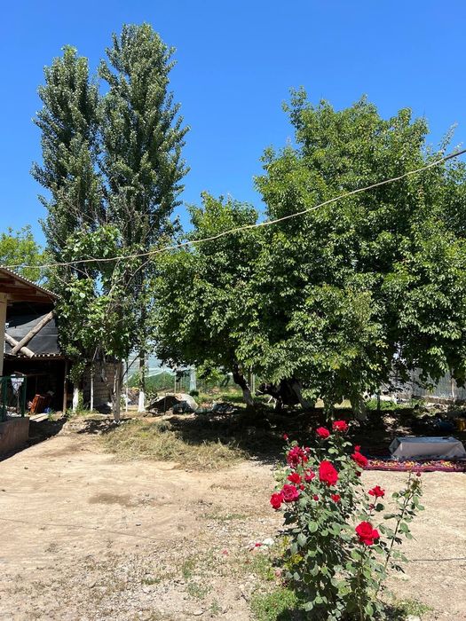 Ховли уй сотилади бахт шахарда