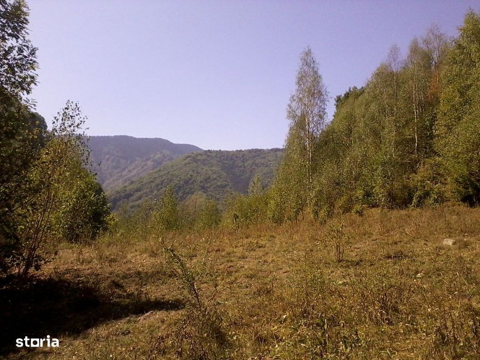 Proprietate rară în inima Retezatului – 5.700 mp teren intravilan