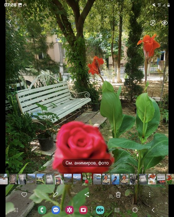 Ассалому алакум квартира сотлади куйлик куйлюк 4масив