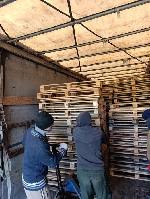 Поддоны всех видов