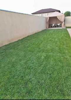 Gazon Rulou, Sisteme de irigare Plante Ornamentale