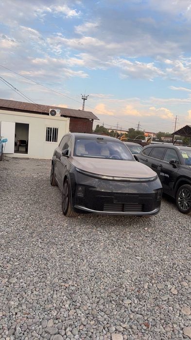Lixiang L9 livis