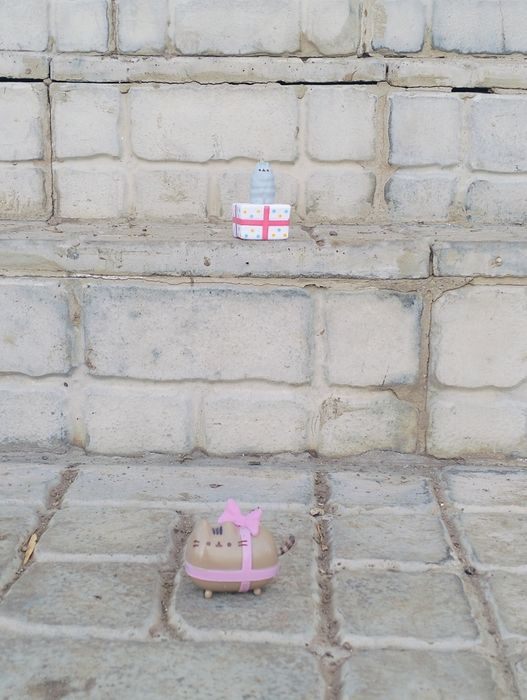 Пушины продажа продажа