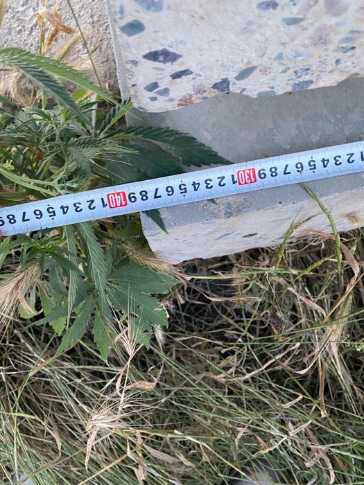 Плиты бетонные