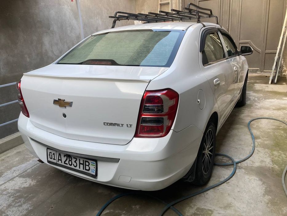 Cobalt 2020 kraska toza