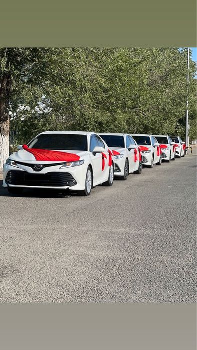 Аренда прокат VIP авто