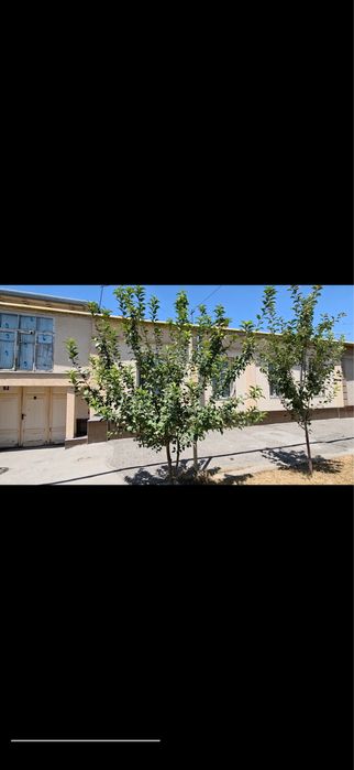 Эски шахар МФЙ, Озод кучаси, 10-уй Эски шахар МФЙ (Пахта) Чорсу