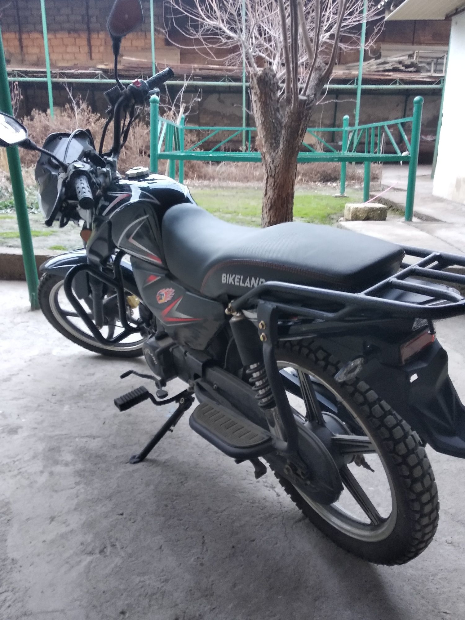 Alpha Sport 13 РіРѕРґ