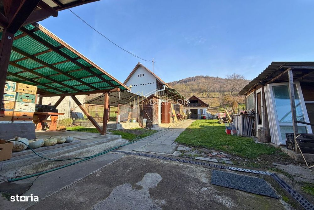 Casă cu teren și spațiu pentru magazin | Troița | 55.000 €