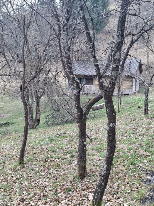 Vând pământ la Valea VISEULUI jud  MARAMUREȘ
